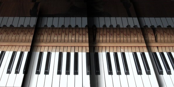 JMGT1